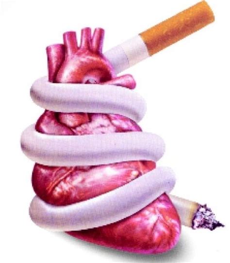 Ilustrasi Olahraga sebagai Penunjang Kesehatan Penyakit Jantung Akibat Merokok